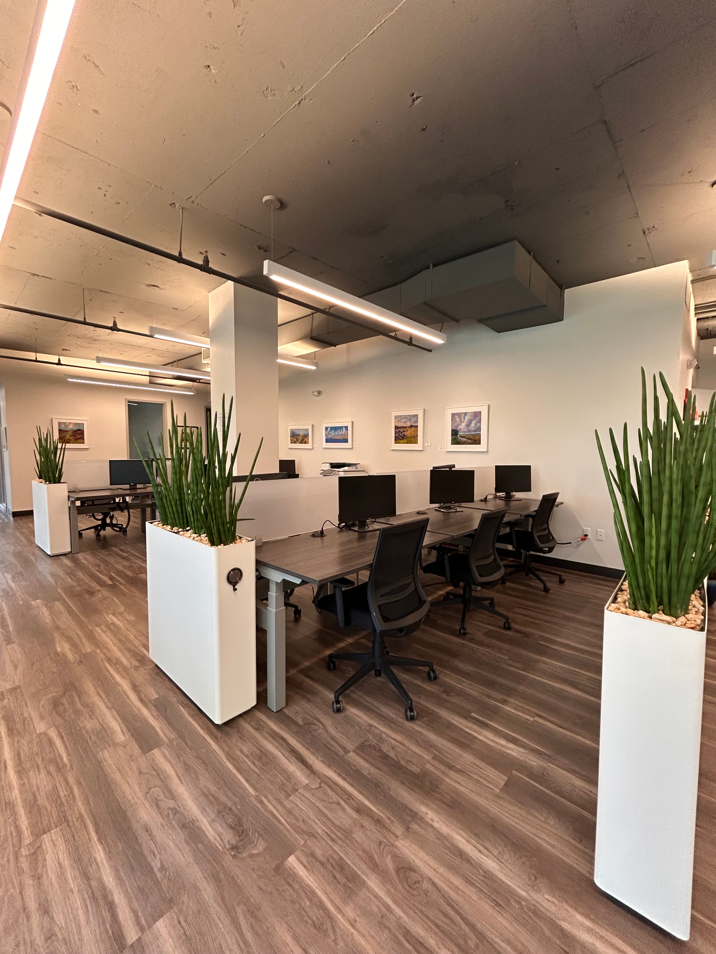 Open coworking area with shared desks and plants